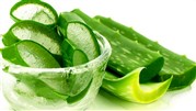 باید ها و نبایدهایی در مورد آلوئه ورا