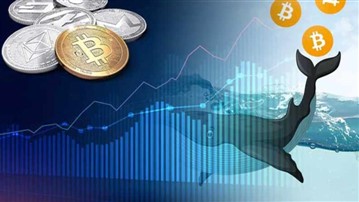 خدمات حوزه رمز ارزها با توکن خان خدمات حوزه رمز ارزها با توکن خان