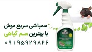 موثرترین روش سمپاشی موش