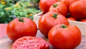 سیل آمد، گوجه‌فرنگی گران شد