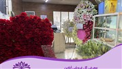 گل فروشی آنلاین