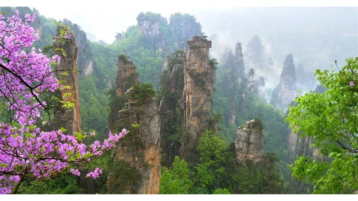 راهنمای یک سفر به یادماندنی به چین در بهار