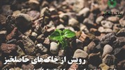 رویش از خاک‌های حاصلخیز خوزستان
