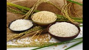 برنج خارجی ارزان‌ شده یا گران؟!