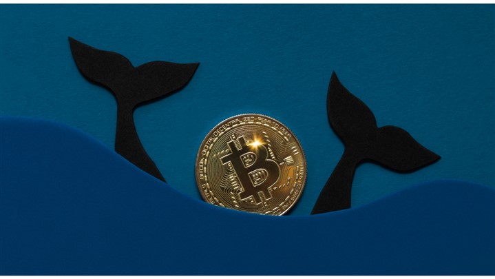 چه کسی بیشترین بیت‌کوین یا طلای دیجیتال را در اختیار دارد؟