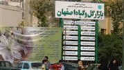 اصفهان به قطب تولید گل و گیاه کشور تبدیل می شود