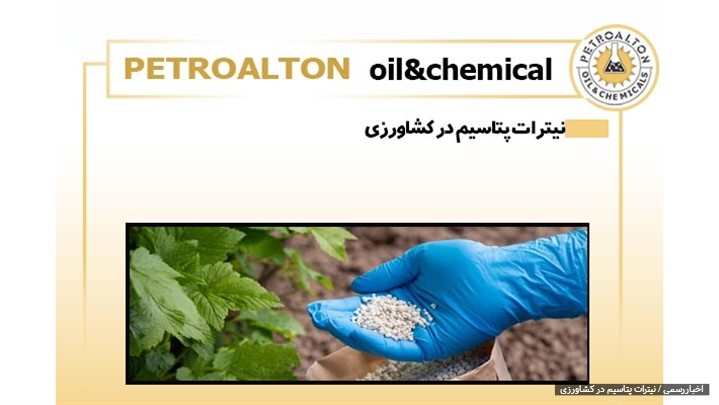 کاربرد نیترات پتاسیم در کشاورزی کاربرد نیترات پتاسیم در کشاورزی