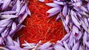 چگونه بهترین زعفران صادراتی را شناسایی کنیم؟