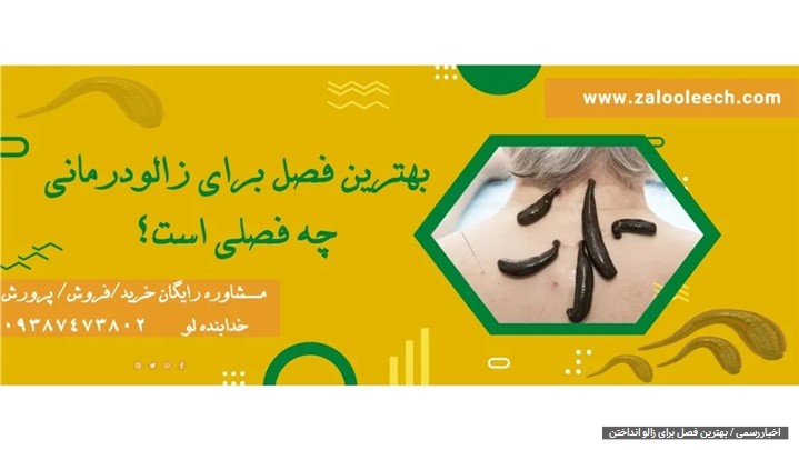 راز سلامتی در بهار: چرا بهار بهترین فصل برای زالودرمانی است؟ راز سلامتی در بهار: چرا بهار بهترین فصل برای زالودرمانی است؟