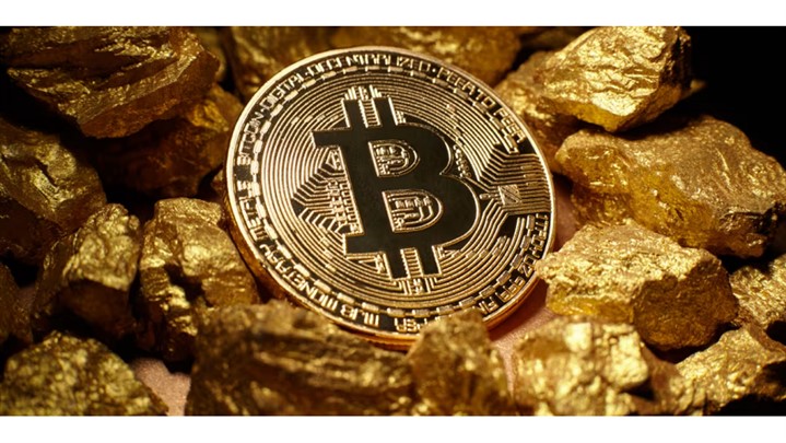 چه کسی بیشترین بیت‌کوین یا طلای دیجیتال را در اختیار دارد؟