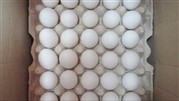 توقیف تخم مرغ های غیر بهداشتی 