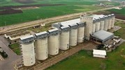 سیلوهای گندم مشمول اخذ پروانه بهداشتی شد