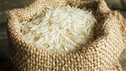 پیش بینی قیمت برنج در سال جاری