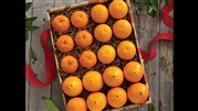 پرتقال‌های بازار مربوط به مازندران نیست
