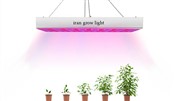 مراحل پرورش گیاه با لامپ رشد گیاه