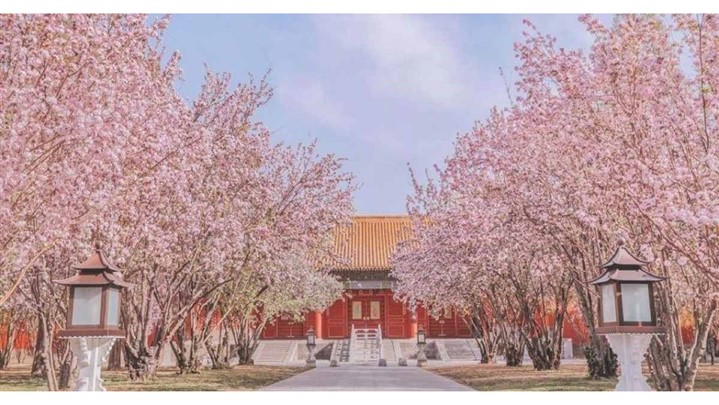 راهنمای یک سفر به یادماندنی به چین در بهار