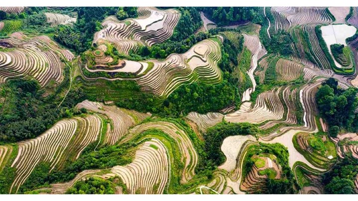 راهنمای یک سفر به یادماندنی به چین در بهار