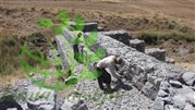 خدمات اجرا گابیون حوزه آبخیز دشت لار